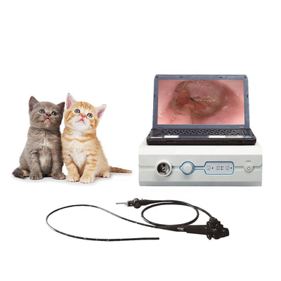 Медицинские поставки системы 3-100mm Endoscope 110 градусов портативные ветеринарные