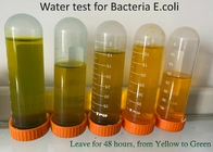 100 бактерий PLA прокладок испытывают набор, прокладки теста ЛЮБИМЦА e Coli